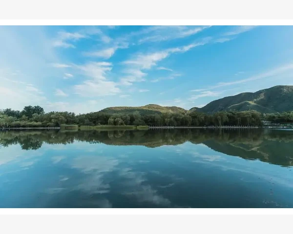 喝了调理肝气的药胃疼?中医带你看透这个问题